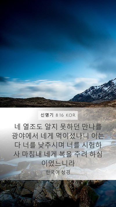 신명기 8:16 KOR Bible Verse Image