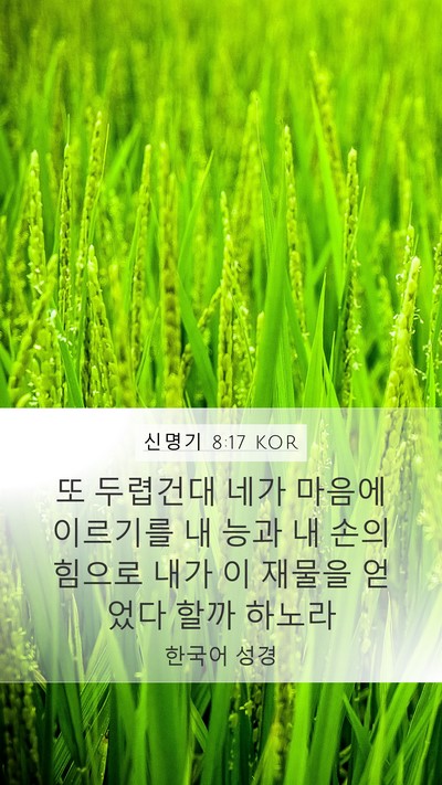 신명기 8:17 KOR Bible Verse Image