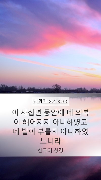 신명기 8:4 KOR Bible Verse Image