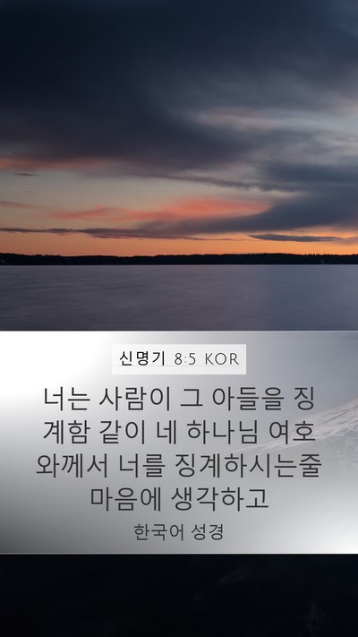 신명기 8:5 KOR Bible Verse Image