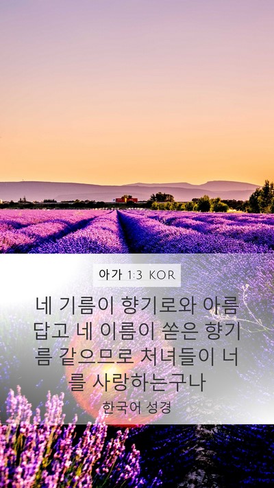 아가 1:3 KOR Bible Verse Image