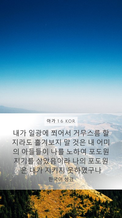 아가 1:6 KOR Bible Verse Image
