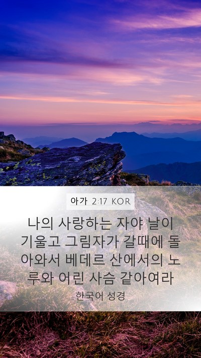 아가 2:17 KOR Bible Verse Image