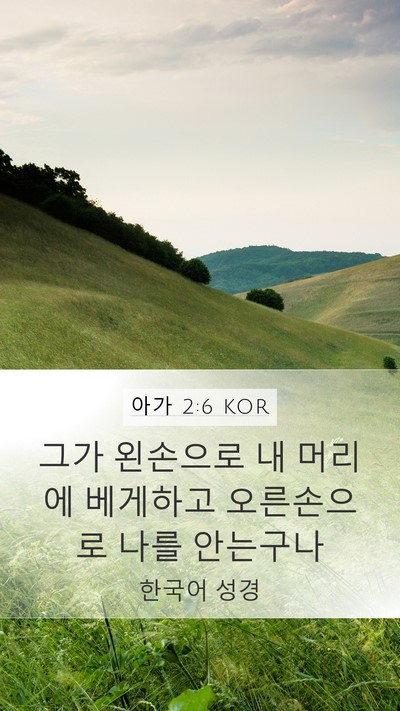 아가 2:6 KOR Bible Verse Image