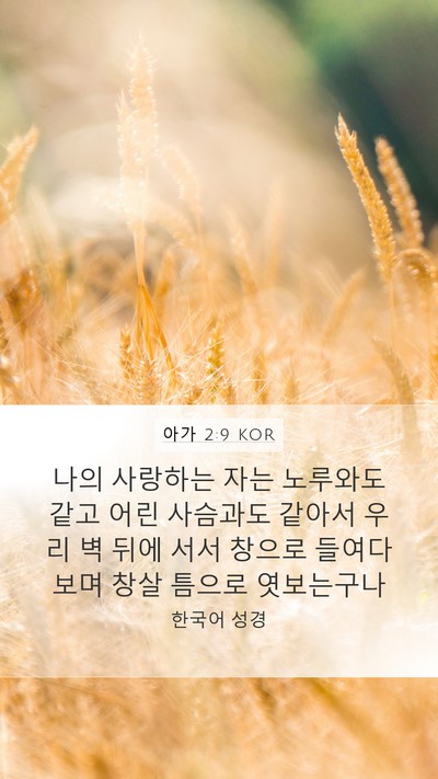 아가 2:9 KOR Bible Verse Image
