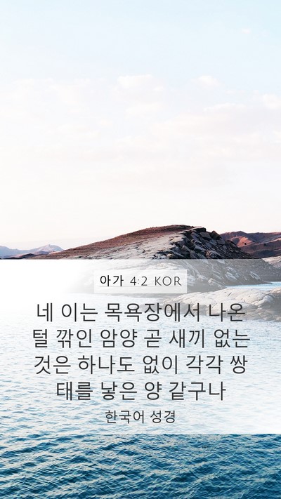 아가 4:2 KOR Mobile Phone Wallpaper - 네 이는 목욕장에서 나온 털 깎인 - Mobile Bible Verse Wallpaper