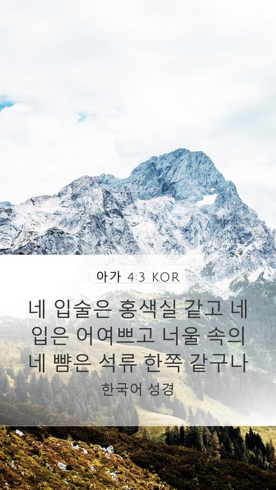 아가 4:3 KOR Bible Verse Image