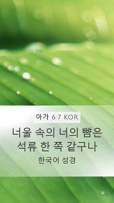 아가 6:7 KOR Mobile Phone Wallpaper - 너울 속의 너의 뺨은 석류 한 쪽 - Mobile Bible Verse Wallpaper