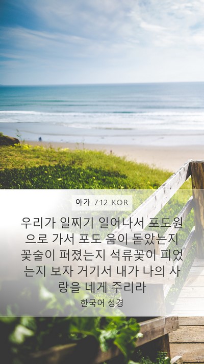 아가 7:12 KOR Bible Verse Image