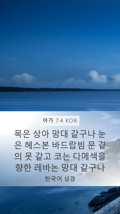 아가 7:4 KOR Bible Verse Image