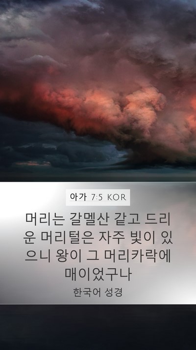 아가 7:5 KOR Bible Verse Image