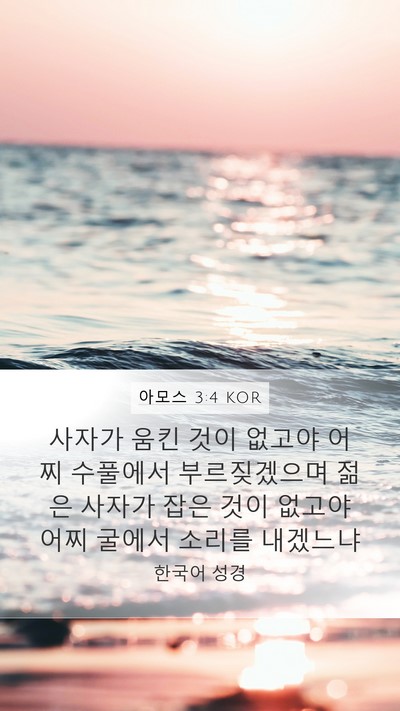아모스 3:4 KOR Bible Verse Image