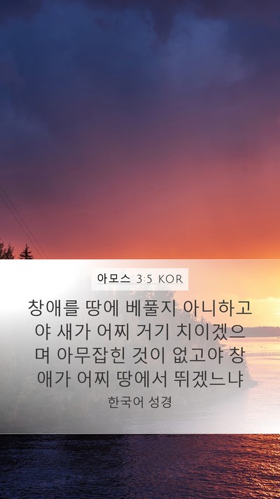 아모스 3:5 KOR Bible Verse Image