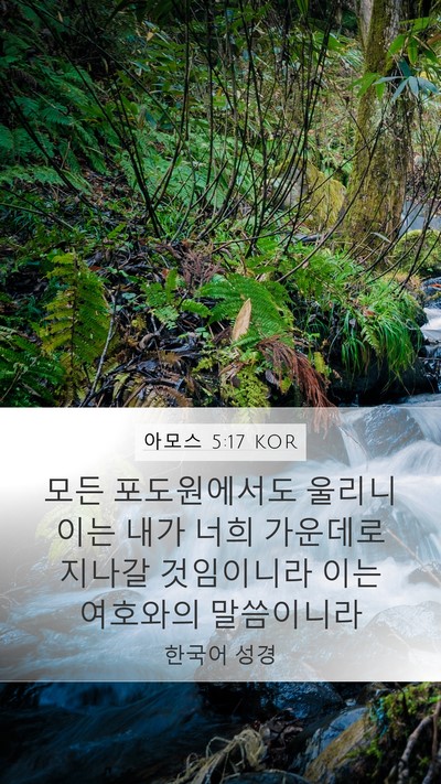 아모스 5:17 KOR Mobile Phone Wallpaper - 모든 포도원에서도 울리니 이는 내가 - Mobile Bible Verse Wallpaper