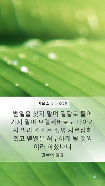 아모스 5:5 KOR Bible Verse Image