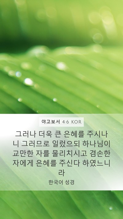 야고보서 4:6 KOR Bible Verse Image