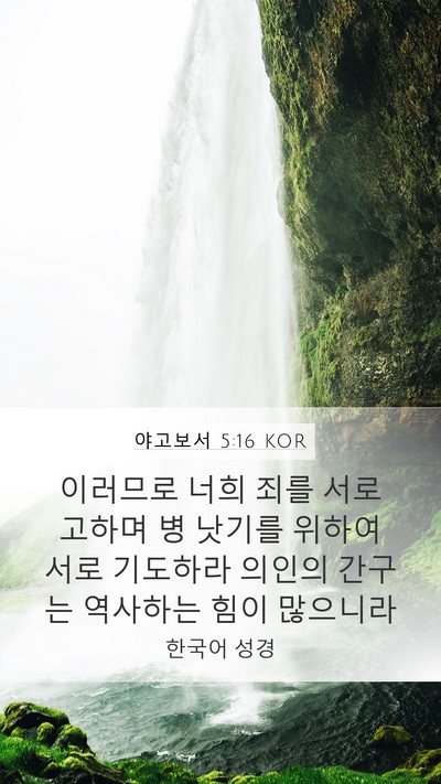 야고보서 5:16 KOR Bible Verse Image