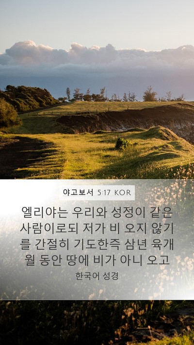 야고보서 5:17 KOR Bible Verse Image