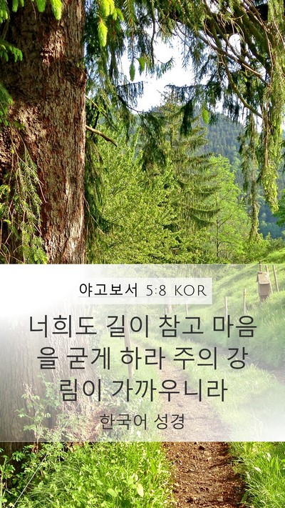 야고보서 5:8 KOR Bible Verse Image