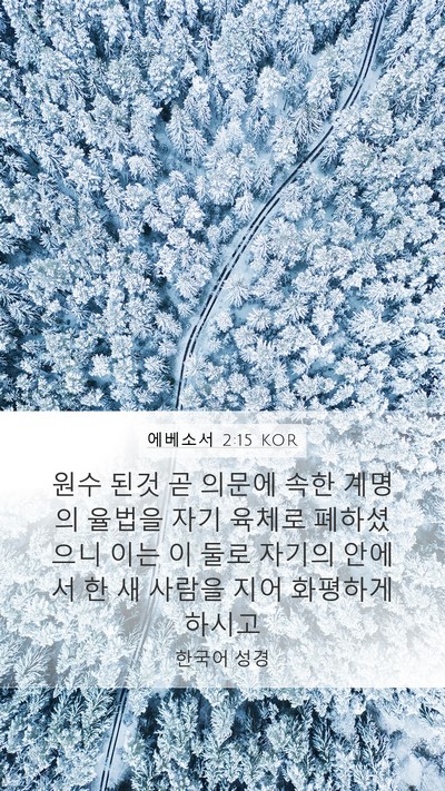 에베소서 2:15 KOR Mobile Phone Wallpaper - 원수 된것 곧 의문에 속한 계명의 - Mobile Bible Verse Wallpaper