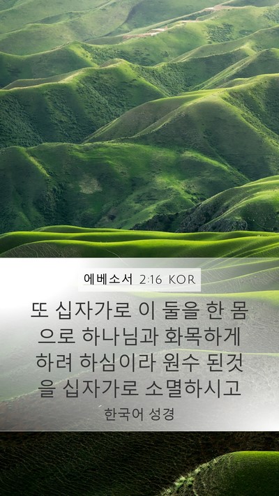 에베소서 2:16 KOR Bible Verse Image