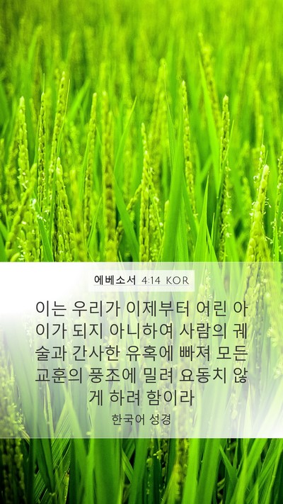 에베소서 4:14 KOR Bible Verse Image