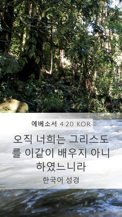 에베소서 4:20 KOR Bible Verse Image