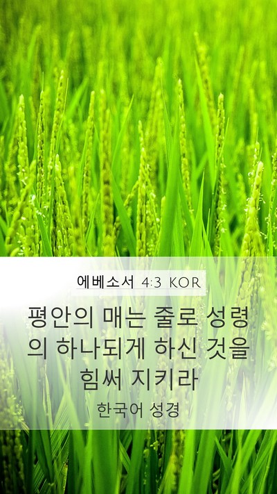 에베소서 4:3 KOR Bible Verse Image