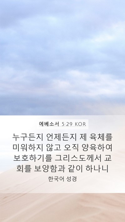 에베소서 5:29 KOR Bible Verse Image