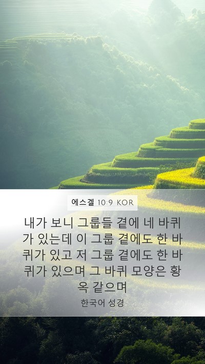 에스겔 10:9 KOR Mobile Phone Wallpaper - 내가 보니 그룹들 곁에 네 바퀴가 - Mobile Bible Verse Wallpaper