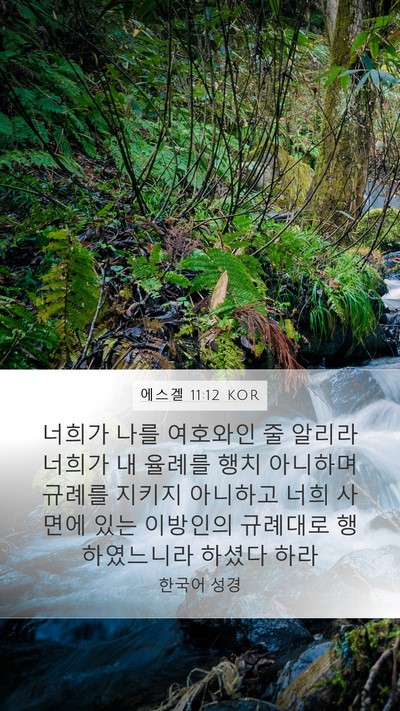 에스겔 11:12 KOR Mobile Phone Wallpaper - 너희가 나를 여호와인 줄 알리라 - Mobile Bible Verse Wallpaper