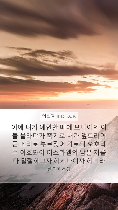 에스겔 11:13 KOR Bible Verse Image