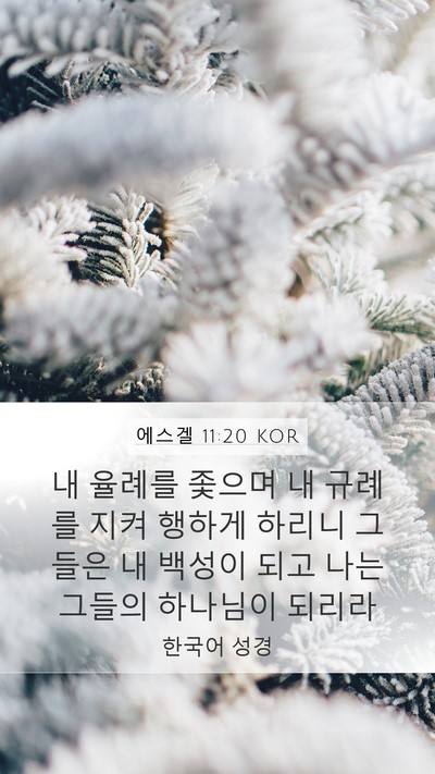 에스겔 11:20 KOR Bible Verse Image