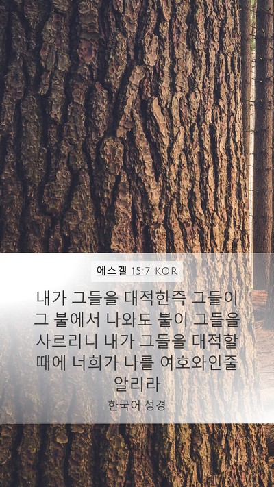 에스겔 15:7 KOR Bible Verse Image