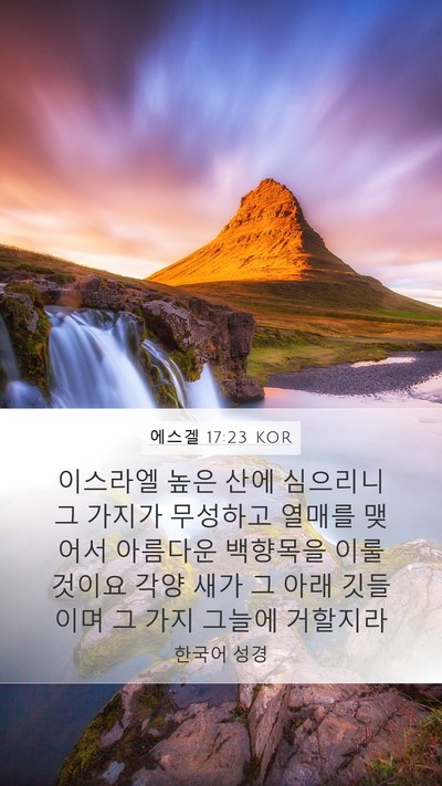 에스겔 17:23 KOR Bible Verse Image