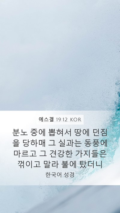 에스겔 19:12 KOR Bible Verse Image