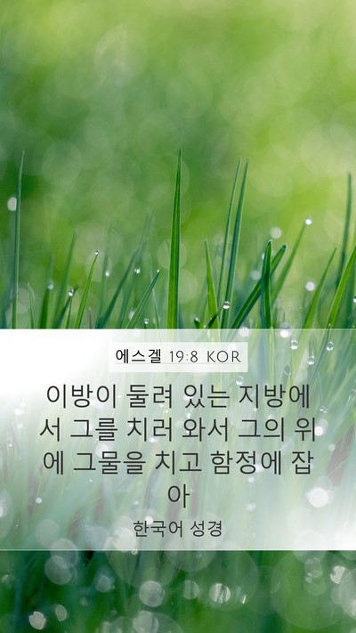 에스겔 19:8 KOR Bible Verse Image