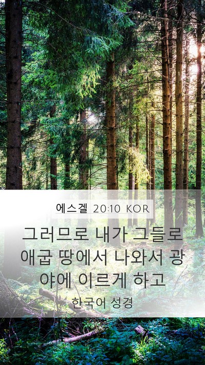 에스겔 20:10 KOR Mobile Phone Wallpaper - 그러므로 내가 그들로 애굽 땅에서 - Mobile Bible Verse Wallpaper