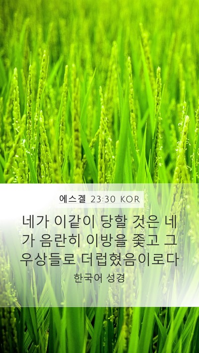 에스겔 23:30 KOR Bible Verse Image