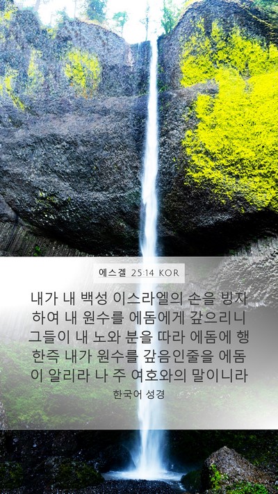 에스겔 25:14 KOR Bible Verse Image