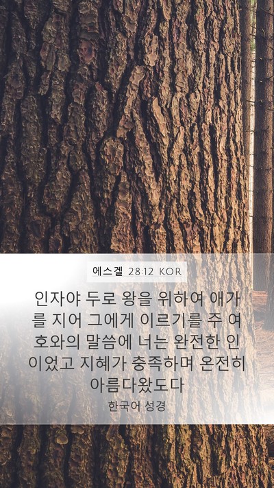 에스겔 28:12 KOR Bible Verse Image
