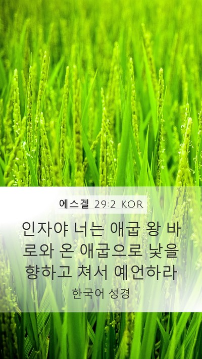 에스겔 29:2 KOR Bible Verse Image