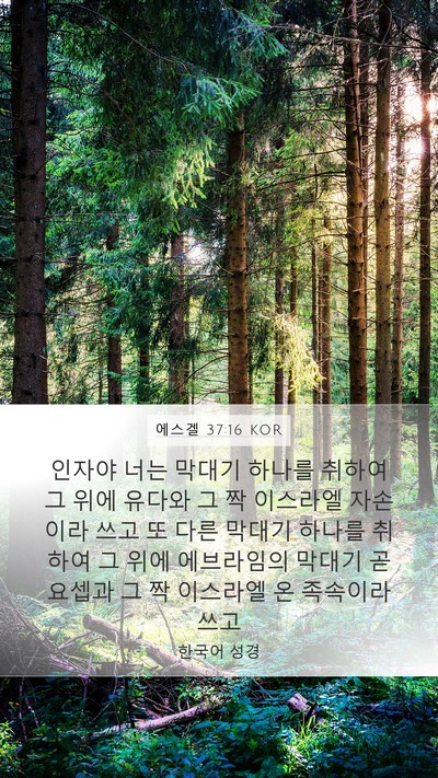 에스겔 37:16 KOR Bible Verse Image