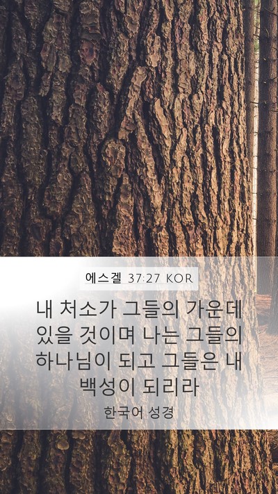 에스겔 37:27 KOR Bible Verse Image
