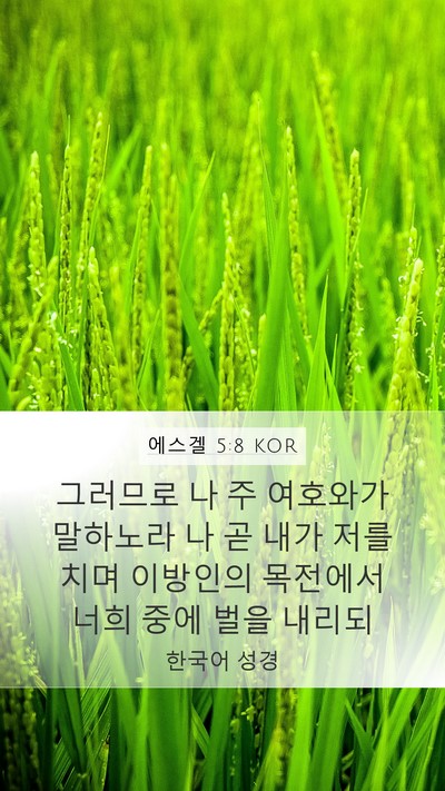 에스겔 5:8 KOR Bible Verse Image