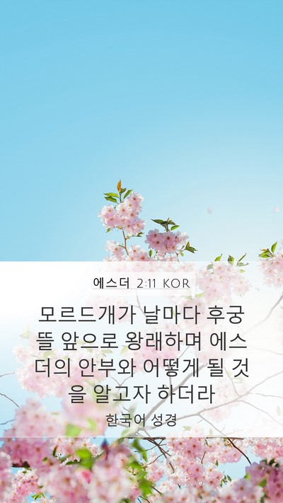 에스더 2:11 KOR Mobile Phone Wallpaper - 모르드개가 날마다 후궁 뜰 앞으로 - Mobile Bible Verse Wallpaper