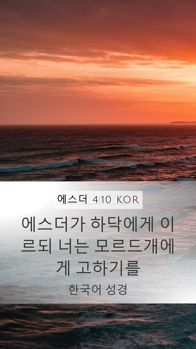 에스더 4:10 KOR Mobile Phone Wallpaper - 에스더가 하닥에게 이르되 너는 - Mobile Bible Verse Wallpaper