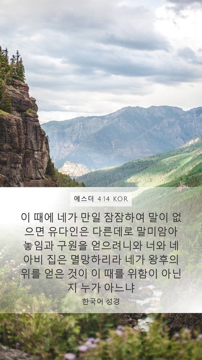 에스더 4:14 KOR Bible Verse Image