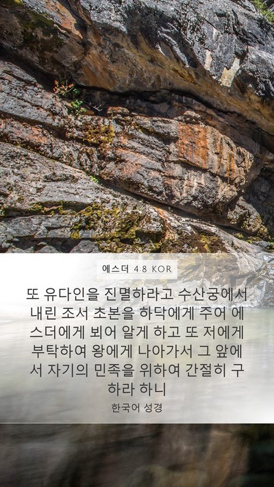 에스더 4:8 KOR Bible Verse Image