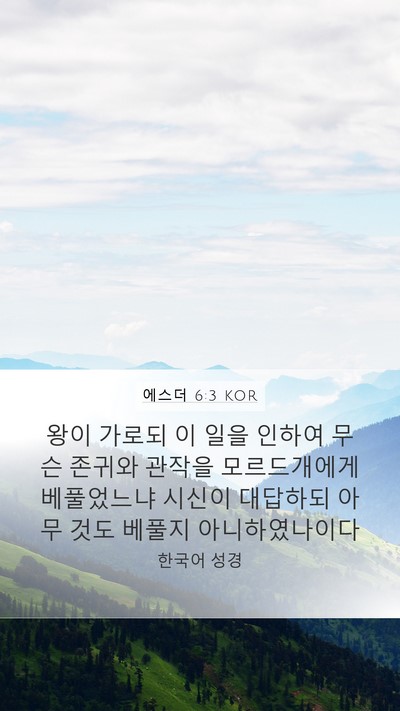 에스더 6:3 KOR Mobile Phone Wallpaper - 왕이 가로되 이 일을 인하여 무슨 - Mobile Bible Verse Wallpaper